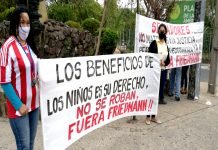 Senado analiza pérdida de investidura de Friedmann