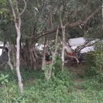 Accidente aéreo fatal en General Delgado