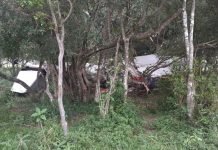 Accidente aéreo fatal en General Delgado