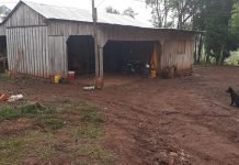 Abigeos estarían involucrados en el caso asalto con homicidio en Barrero Guazú