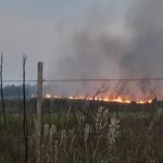 Incendios forestales en Itapúa sobrepasaron capacidad de respuesta de bomberos