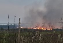 Incendios forestales en Itapúa sobrepasaron capacidad de respuesta de bomberos