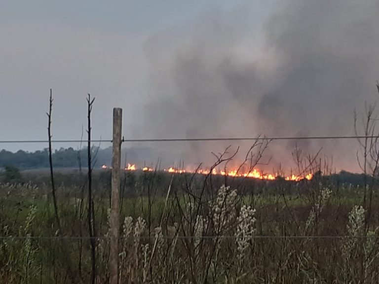 Incendios forestales en Itapúa sobrepasaron capacidad de respuesta de bomberos