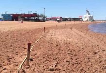 Guardias tuvieron que reducir a un hombre y sacarlo de la Playa San José