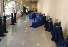 Encarnación: Artistas paraguayos homenajean a Beethoven