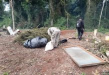 SENAD interviene base de acopio narco en Alto Paraná
