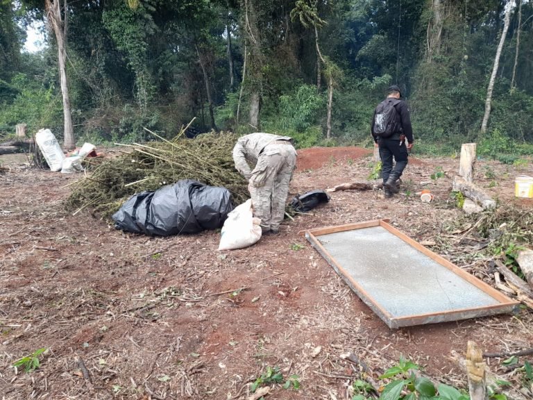 SENAD interviene base de acopio narco en Alto Paraná