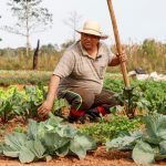 CAH desembolsó G. 200.000 millones en 20.000 proyectos productivos de enero a mayo