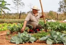 CAH desembolsó G. 200.000 millones en 20.000 proyectos productivos de enero a mayo