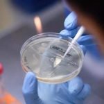 Covid-19: Salud reporta 44 muertes y 333 nuevos casos