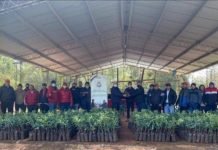 Se ejecuta el programa Proyectos Productivos Agropecuarios para familias vulnerables