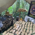 SENAD desmantela narcocampamento instalado en bosques de Canindeyú