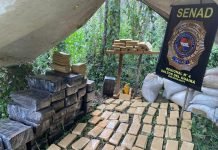 SENAD desmantela narcocampamento instalado en bosques de Canindeyú