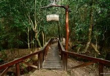 Yacyretá reinicia las visitas guiadas a su Central Hidroeléctrica desde este viernes 1º de octubre