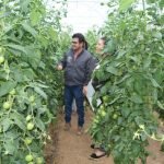 Horticultores de Ayolas reciben capacitación en manejo de cultivos en invernadero