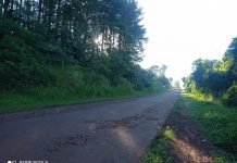 Docente fue víctima de asalto en Capitán Miranda