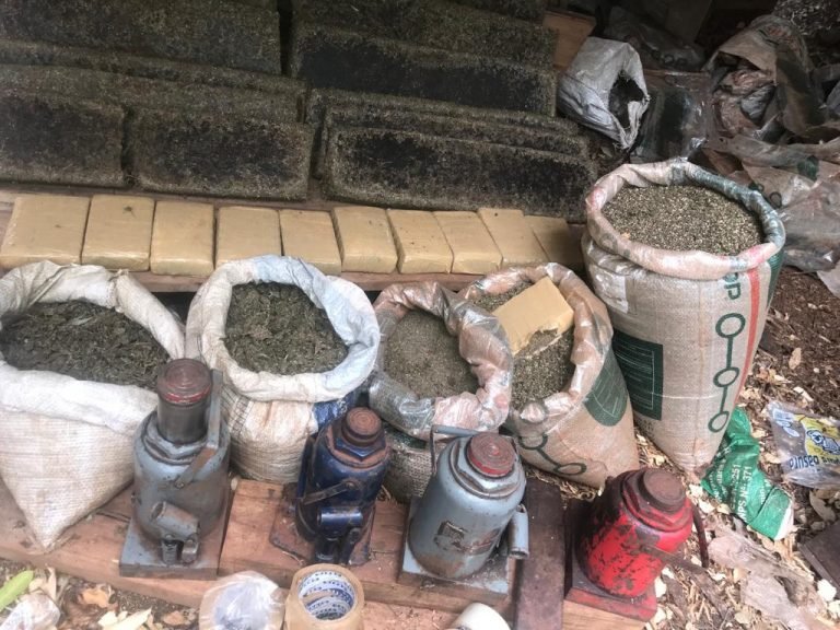 Un importante cargamento de marihuana fue incautada por la SENAD