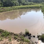 Apuntan a la ampliación de la producción de peces en estanque en el distrito de Ayolas