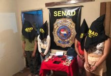 Certero procedimiento de la SENAD en Encarnación