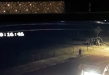 Hurtan vehículo en Bella Vista