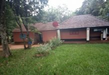 San Pedro del Paraná: Malvivientes se llevaron dinero y una camioneta de una vivienda