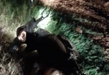 Hallan sin vida a motociclista en la localidad de María Auxiliadora