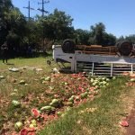 Productor de Sandía tuvo millonarias pérdidas luego del vuelco de su camión