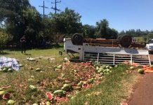 Productor de Sandía tuvo millonarias pérdidas luego del vuelco de su camión