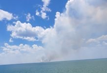 La Central Yacyretá y Aña Cuá no están en riesgo por los focos de incendio