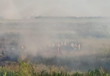 Logran contener incendio en la zona de Yacyretá