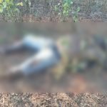 En Alto Verá un hombre halló sin vida a su padre luego de 2 días