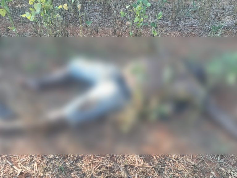 En Alto Verá un hombre halló sin vida a su padre luego de 2 días