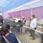 Avanzan acciones dentro del programa de seguridad alimentaria en Caazapá