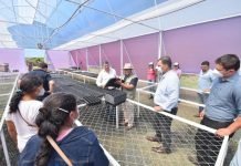 Avanzan acciones dentro del programa de seguridad alimentaria en Caazapá