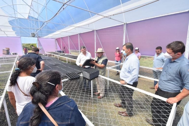 Avanzan acciones dentro del programa de seguridad alimentaria en Caazapá