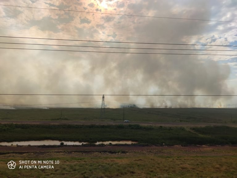 Logran contener avance de nuevos focos de incendio en la Reserva de Yacyretá Logran contener avance de nuevos focos de incendio en la Reserva de Yacyretá