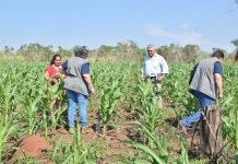Verifican marcha de proyectos productivos en el departamento de Misiones