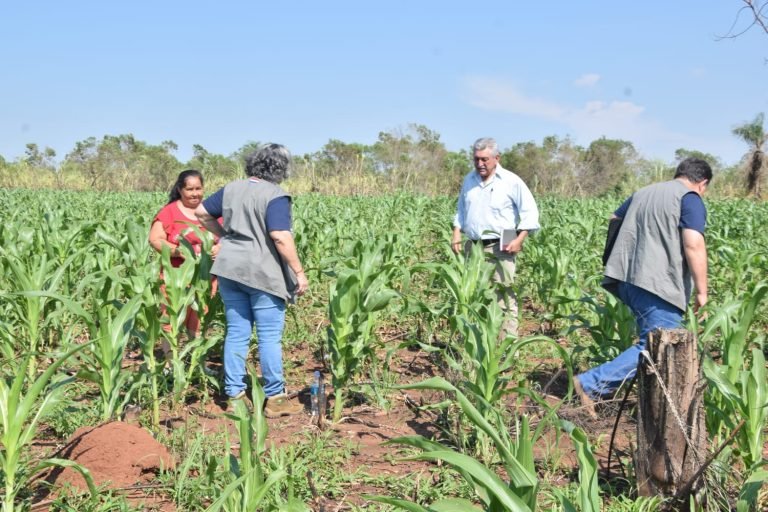 Verifican marcha de proyectos productivos en el departamento de Misiones