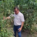 Horticultores de Pilar se capacitan para mejorar producción