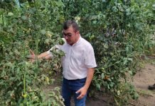 Horticultores de Pilar se capacitan para mejorar producción