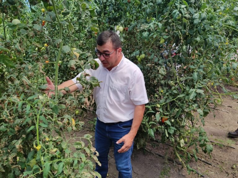 Horticultores de Pilar se capacitan para mejorar producción