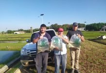 Pequeños productores piscícolas de Misiones, Caazapá e Itapúa reciben alevines para cría en estanque