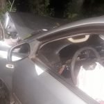 Conductor alcoholizado chocó contra un árbol