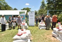 Familias de Caazapá reciben insumos para desarrollar proyecto de cría de aves
