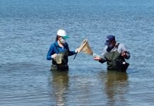 EBY monitorea calidad del agua en zonas turísticas de Itapúa