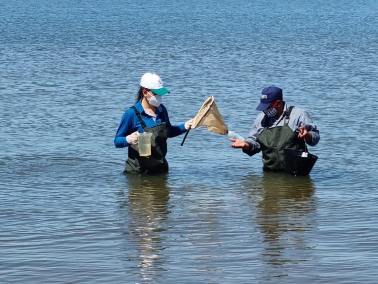 EBY monitorea calidad del agua en zonas turísticas de Itapúa EBY monitorea calidad del agua en zonas turísticas de Itapúa