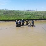 Yacyretá inicia trabajos de reproducción inducida de peces en sus estaciones