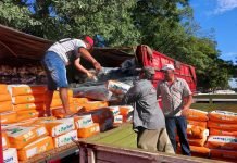 Más de 1500 pequeños productores de Misiones, cuyos cultivos fueron afectados por la sequía, reciben asistencia