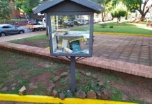 Vándalos violentaron el vidrio de la biblioteca callejera de la Plaza de Armas de Encarnación