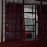 DELINCUENTES DEJARON SIN ALMUERZO A ALUMNOS DE UNA ESCUELA EN TRINIDAD